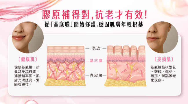 https://www.starnic.com.tw/files/images/7c/e2/7ce2a4f4c249c15b486fcc13b4f89dfb.jpg