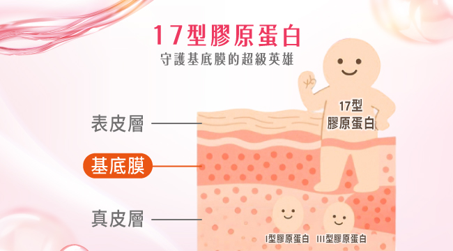 https://www.starnic.com.tw/files/images/f0/56/f0567edba8c92c3b7a9824d42c9150ff.jpg